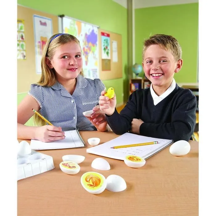 Learning Resources Kit de Découverte du Cycle de Vie du Poussin - LER2733-3