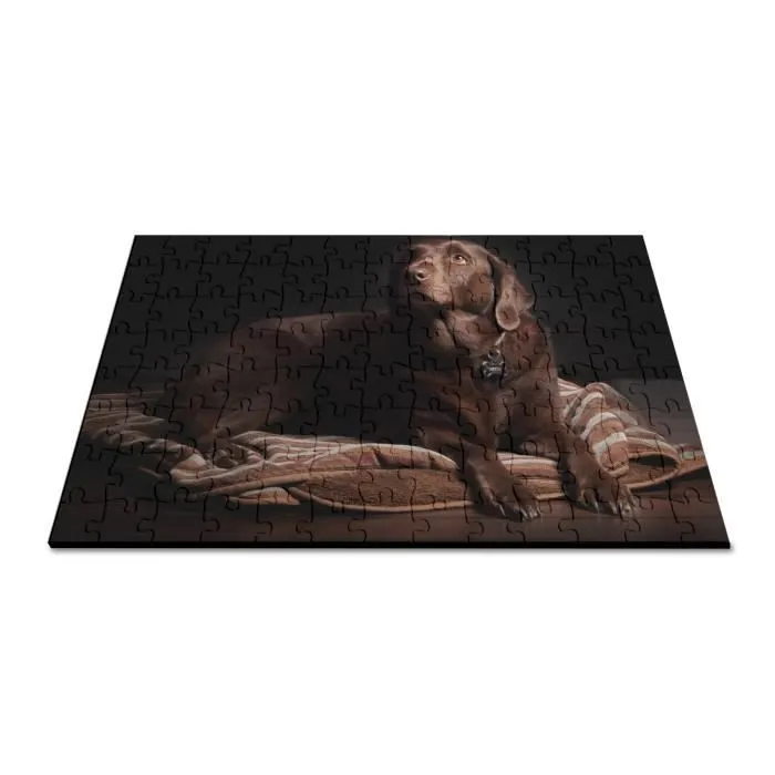 Puzzle Classique - FABULOUS - Labrador sur sa Couche Sépia Chien - 100 Pièces - Intérieur - Adulte-2