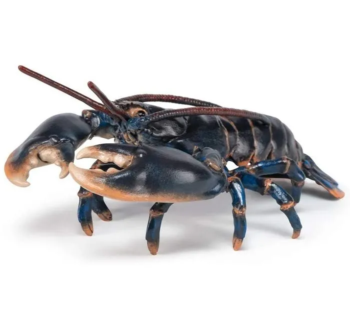 Aliment - Homard - Mixte - Enfant - A partir de 3 ans - Noir-5