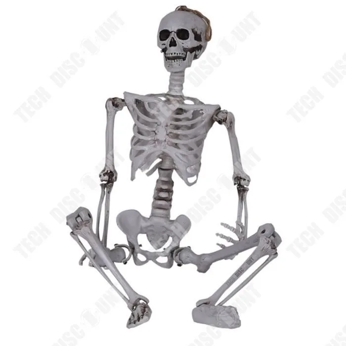 Squelette d'Halloween 165CM - TECH DISCOUNT - Posture réglable - Décoration terrifiante pour Halloween-0