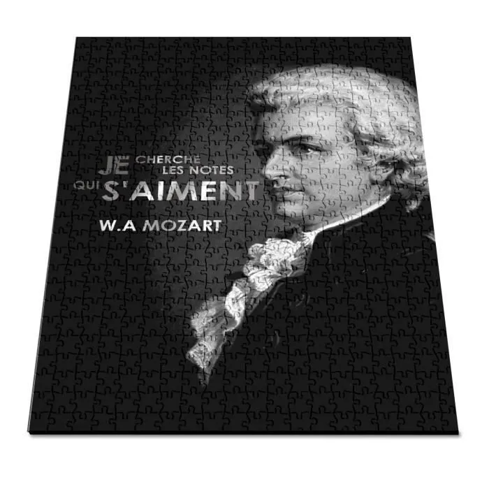Puzzle Classique - FABULOUS - Je Cherche Les Notes Qui S'aiment Mozart - 500 Pièces - Adulte - Intérieur-2