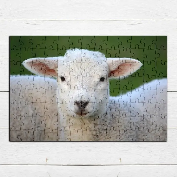 Puzzle Classique 100 pièces Agneau Bebe Mouton Super Mignon Prairie Animal-3
