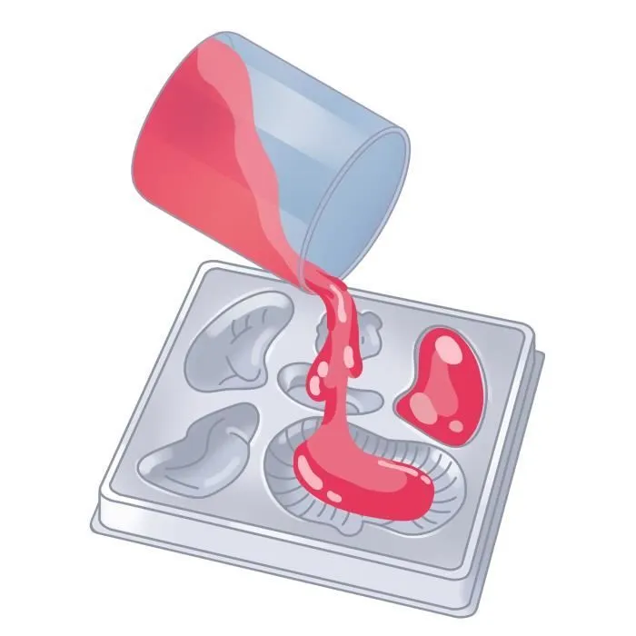 Mini Labo d'anatomie CLEMENTONI-3