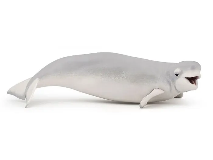 Figurine Béluga - PAPO - L'UNIVERS MARIN - Mixte - A partir de 3 ans-0