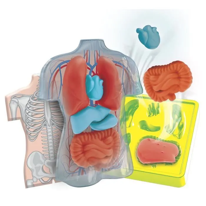 Mini Labo d'anatomie CLEMENTONI-1