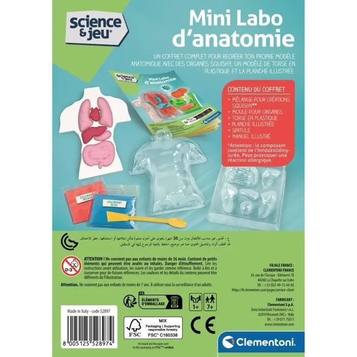 Mini Labo d'anatomie CLEMENTONI-5