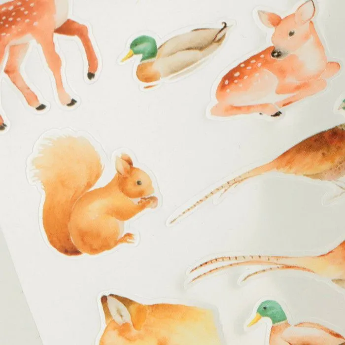 Autocollants transparents - Animaux-1