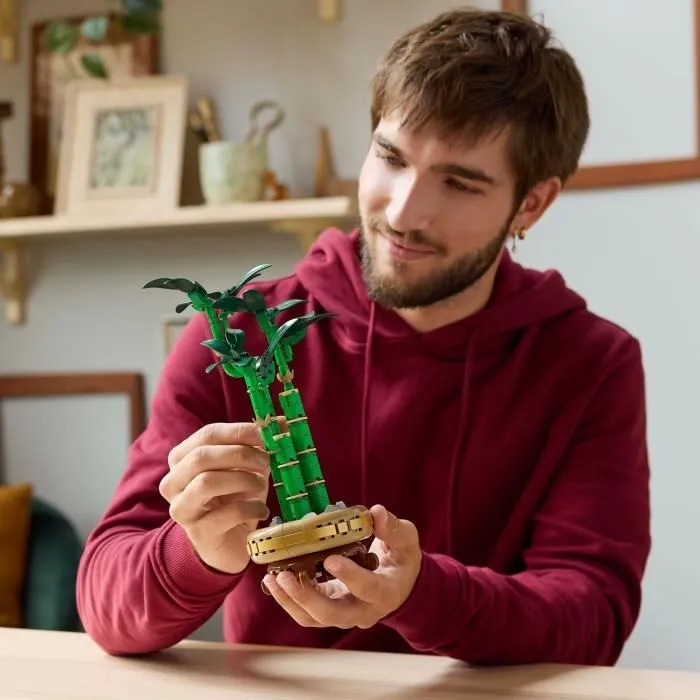 LEGO Botanique 10344 Le bambou de la chance - Plante artificielle et décoration intérieure-4