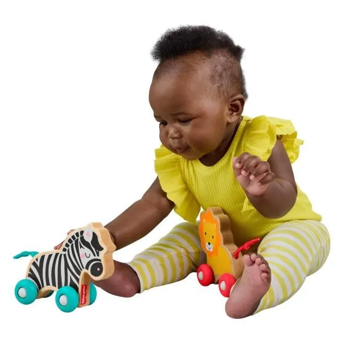 FISHER-PRICE Animaux a pousser en bois os - JFN19-4