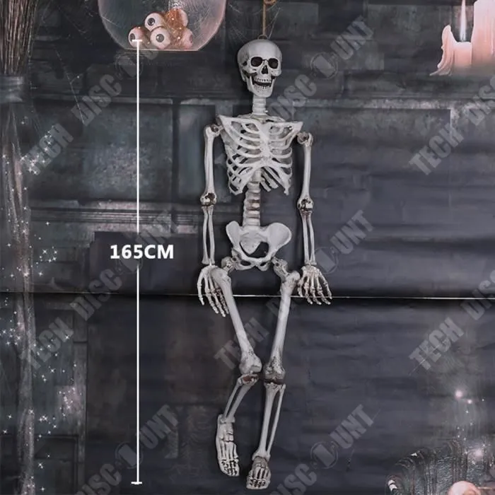 Squelette d'Halloween 165CM - TECH DISCOUNT - Posture réglable - Décoration terrifiante pour Halloween-1