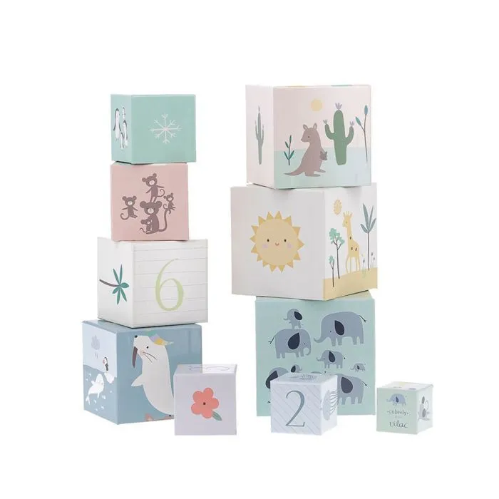 Cubes gigognes - Vilac - 7104 - Animaux du monde - 10 cubes - 87 cm de hauteur-1