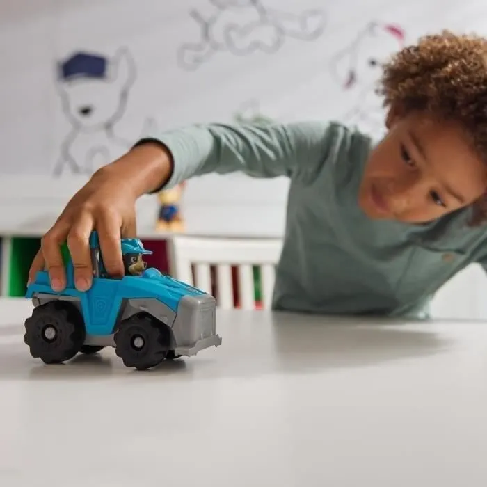 SPIN MASTERVEHICULE + FIGURINE REX La Pat' Patrouille-8