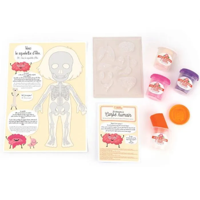 Kit créatif pâte à modeler - Je découvre le corps humain-2