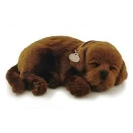 Perfect Petzzz Labrador Chocolat-0