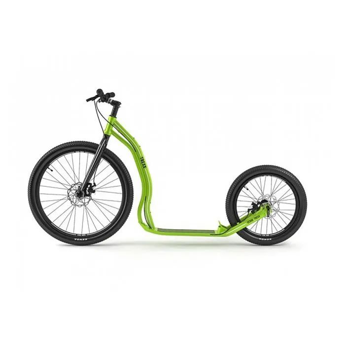 Trottinette Trexx Disc Vert-1