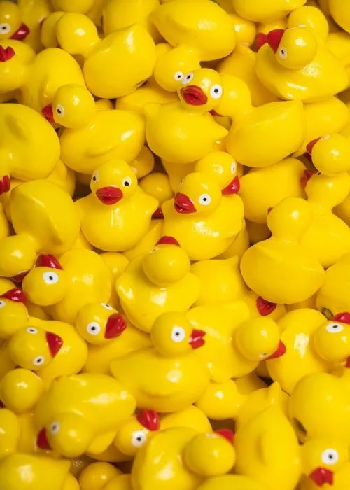 Bouteille avec canard-3