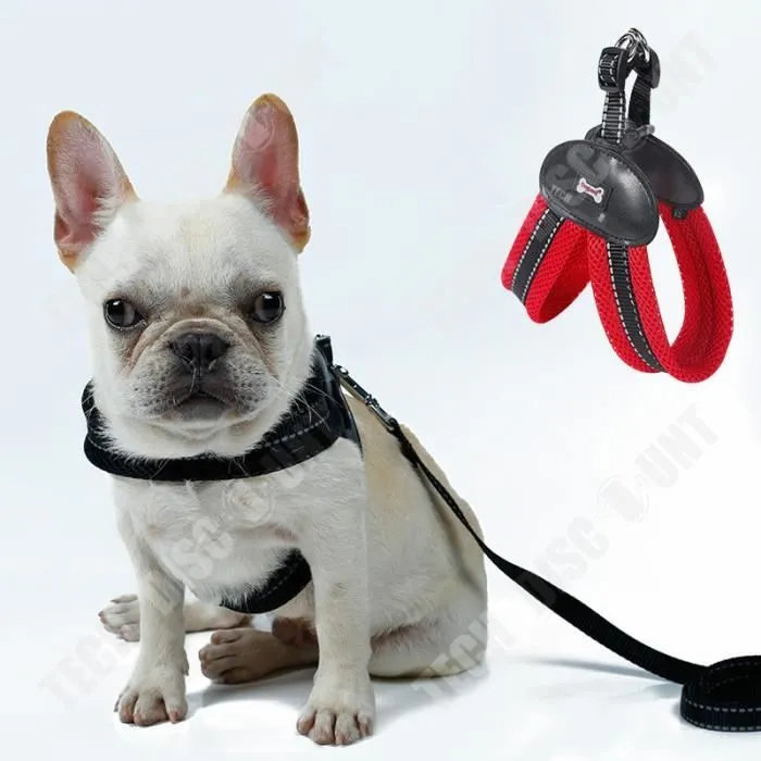 TD® harnais de securité chien anti traction avec laisse moyenne taille grande voiture course a pied canicross gilet sangle poitrine-2