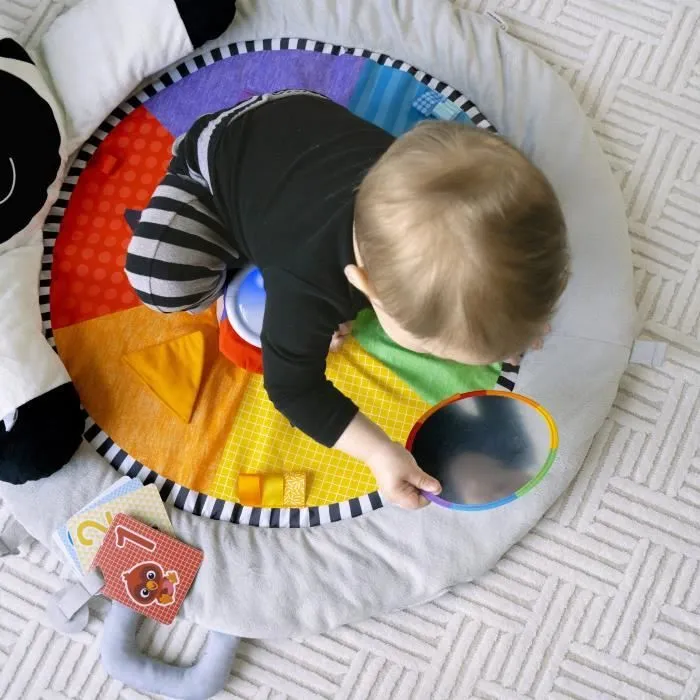 BABY EINSTEIN Tapis d'éveil Ocean Explorers - Zen le Zèbre, arche de jeu en bois et jouets multisensoriels-7