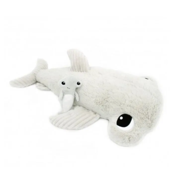 Ptipotos - requin marteau-0