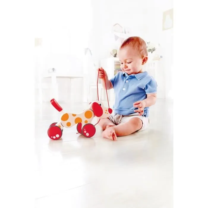 Chiot de promenade - Hape - Puppy - Rouge - Beige - Extérieur-1