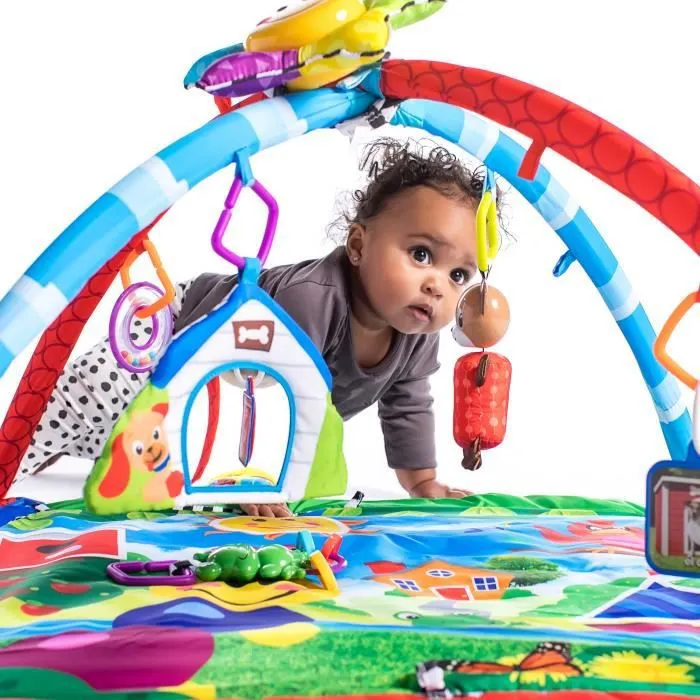BABY EINSTEIN Tapis d'éveil Caterpillar & Friends Play Gym™ Activity Gym-1