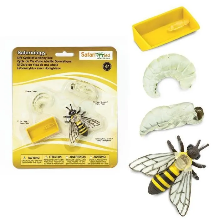 Safari 622716, Figurines du Cycle de Vie d’Une Abeille-0