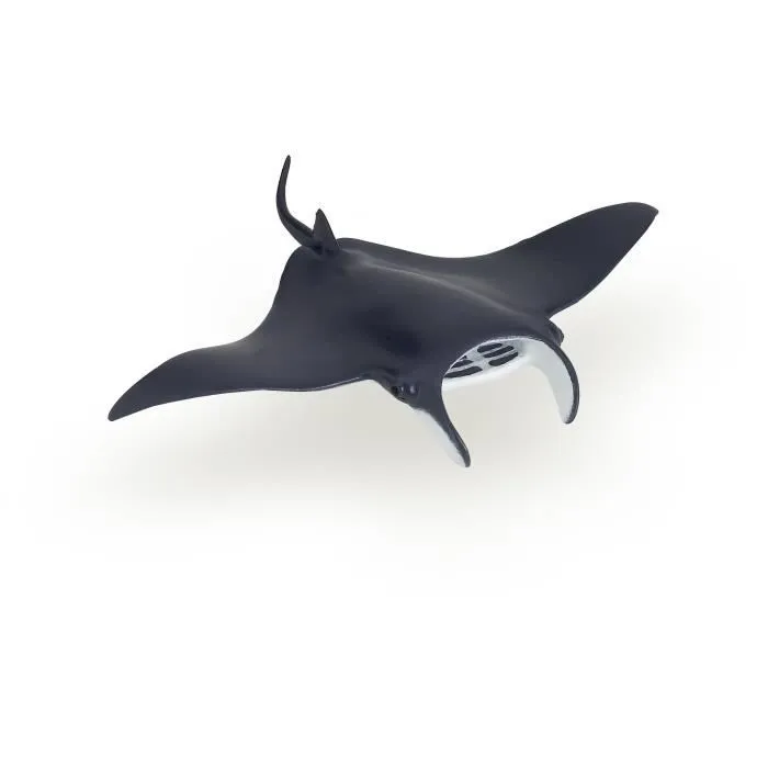 Figurine Raie manta - PAPO - L'UNIVERS MARIN - Intérieur - Enfant - Multicolore-0
