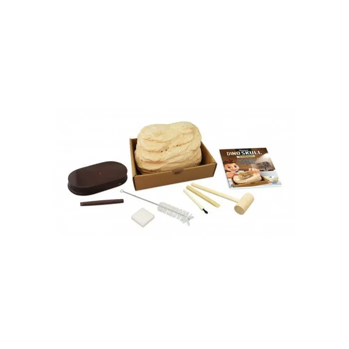 Tête de dinosaure - T-Rex - Crâne à déterrer - 12 cm - Outils inclus - Pour enfants-1