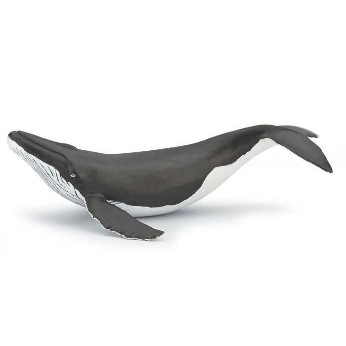PAPO Figurine Baleineau-1