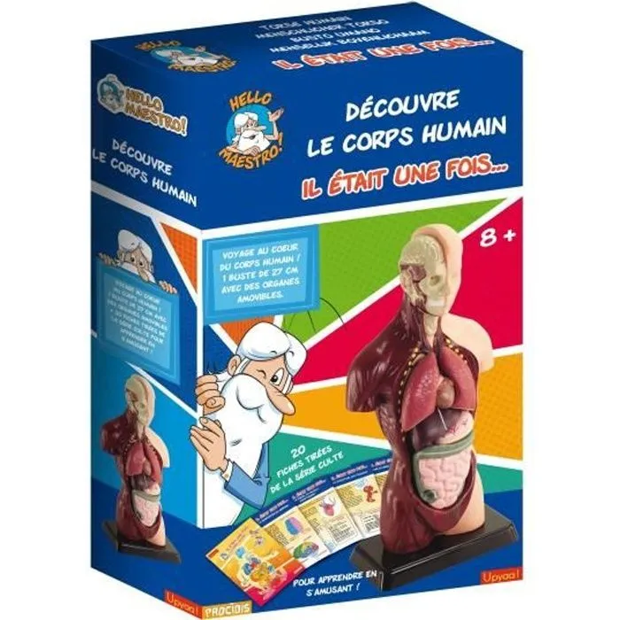 HELLO MAESTRO Buste anatomie - Découvre le corps humain-0