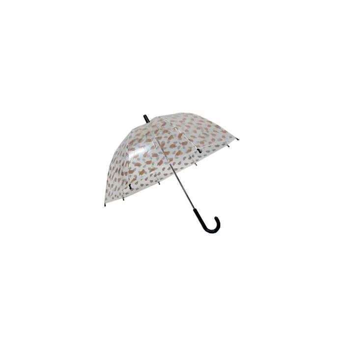 Parapluie transparent-0