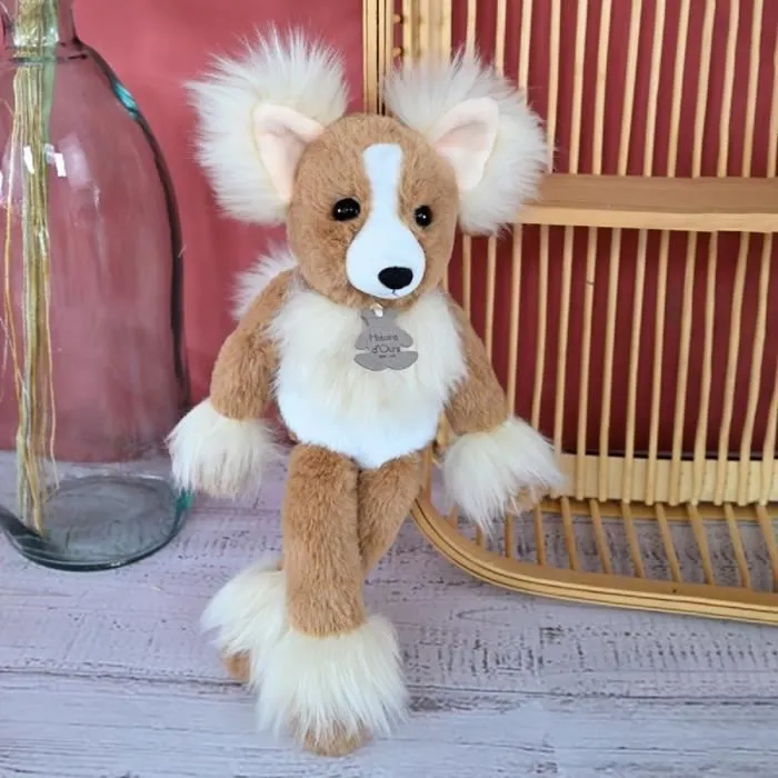 Peluche chien chihuahua 30CM - HISTOIRE D'OURS - Marron - Bébé - Intérieur-1