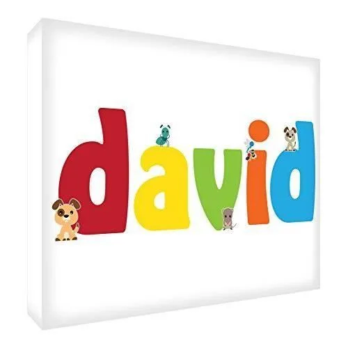 Feel Good Art Toile décorative Galerie enveloppé David, petit, 20x 30x 4cm - LHV-DAVID128-15-0