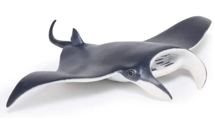 Figurine Raie manta - PAPO - L'UNIVERS MARIN - Intérieur - Enfant - Multicolore-2