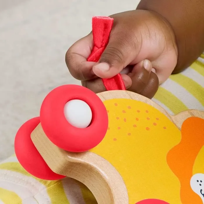 FISHER-PRICE Animaux a pousser en bois os - JFN19-2