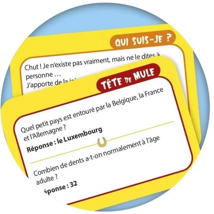 MEGABLEU Jeu de questions-réponses Mr Je Sais Tout-3