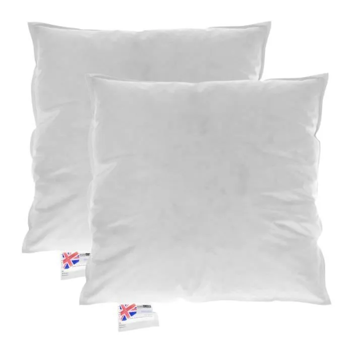 Coussin de garnissage - Homescapes - 55x55 cm - Duvet et plumes d'oie - 100% coton - Lot de 2-0