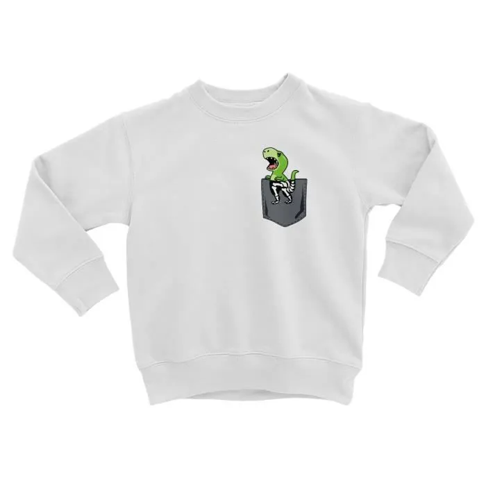 Sweatshirt Enfant Dinosaure Rayon X Poche Surprise Dessin Mignon-0