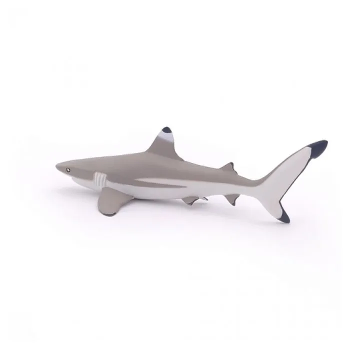Papo - Figurine Requin à pointes noires-5