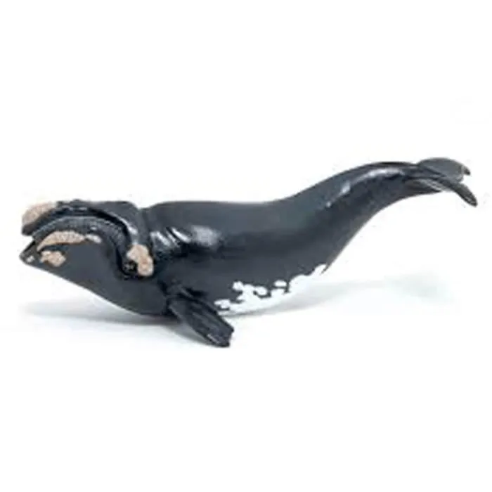 Figurine - PAPO - Baleine franche - Blanc - Enfant - Intérieur - 3 ans - Coloris Unique-0