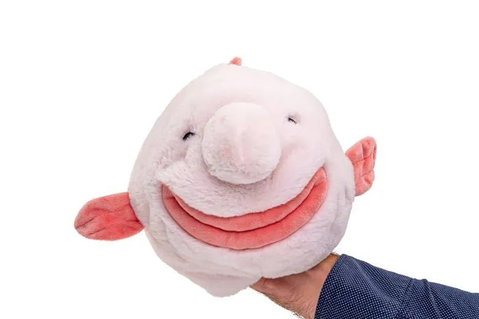 Peluche Uni-toys - WT-70300 - Blobfish - Flip Peluche, Peluche Reversible - 29 cm (Longueur) - Poisson en Peluche - Doudou-2