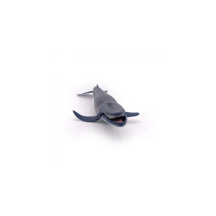 Papo - Baleine bleue-3