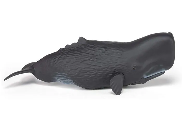 Papo - Figurine Cachalot-3