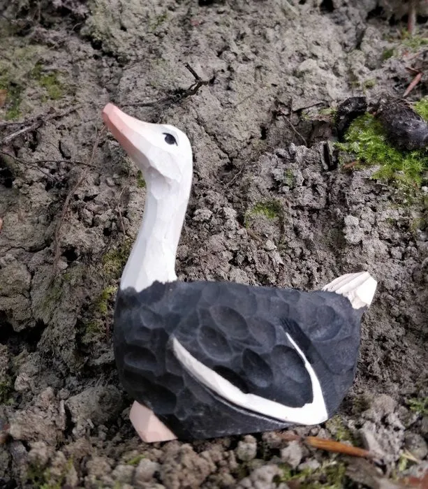 Wudimals - Figurine Autruche - K-PLAY-2