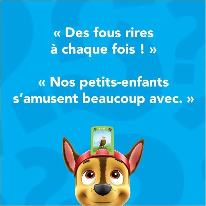 Devine Tête Pat Patrouille, Jeu de Société, Bandeaux et Devinettes, Version Française, Jeu Enfant dès 4 ans-6