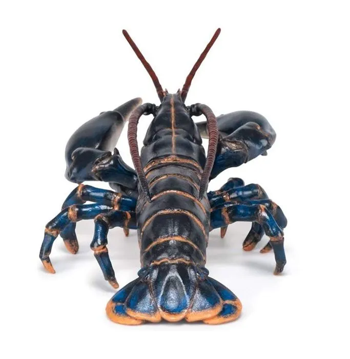 Aliment - Homard - Mixte - Enfant - A partir de 3 ans - Noir-4