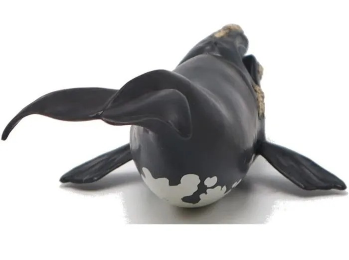 Figurine - PAPO - Baleine franche - Blanc - Enfant - Intérieur - 3 ans - Coloris Unique-3