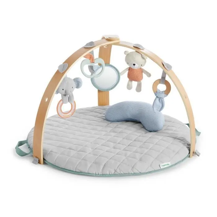 INGENUITY Tapis de sol éveil bébé évolutif - Loamy™ - Réversible, pliable, Arche de jeu en bois amovible, 5 jouets, miroir, coussin-0