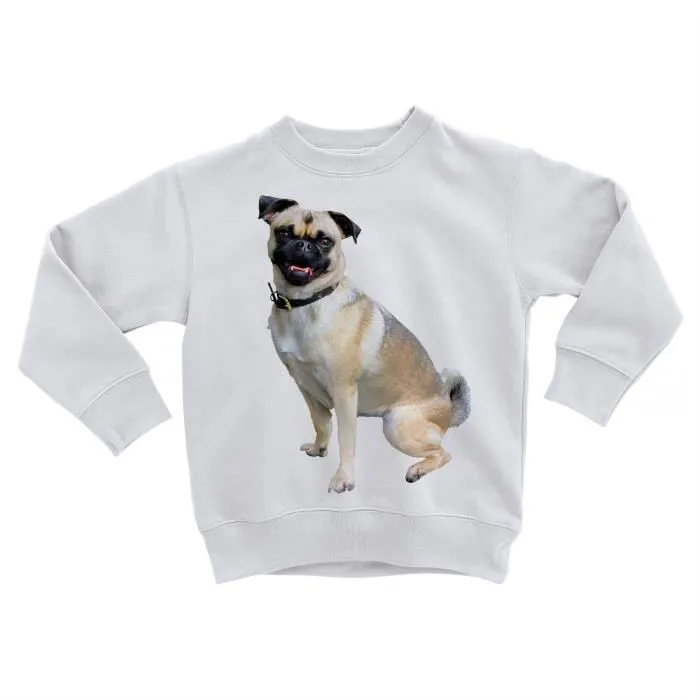 Sweatshirt Enfant Carlin Petit Chien Beige Animal Domestique Mignon-0
