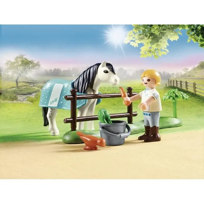 Country Cavalière avec poney gris-4